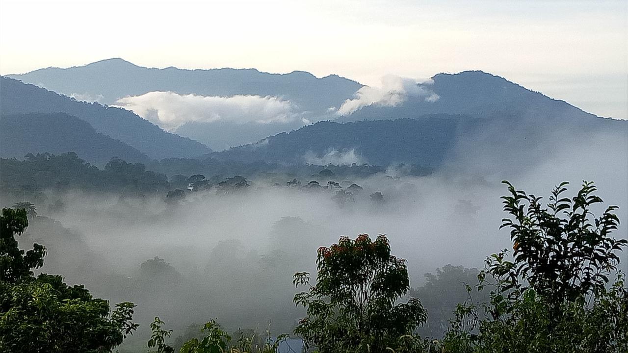 Mulu Village Номер фото